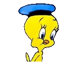 Gif Titi marin